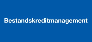 Bestandskreditmanagement