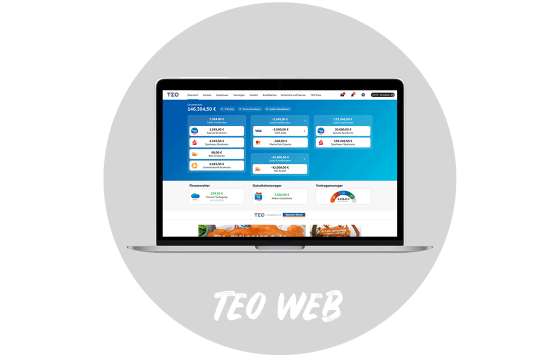 TEO Web